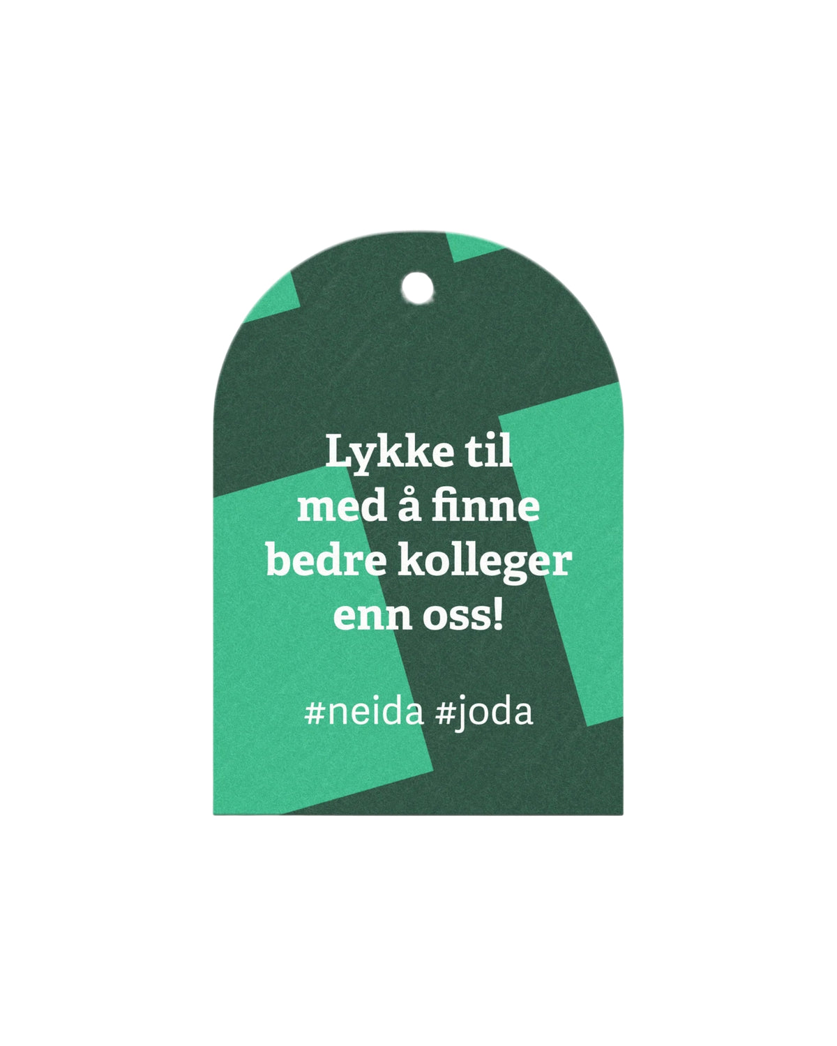 Minikort – Lykke til med å finne bedre kolleger enn oss – TWAS