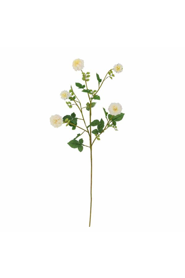Chrysantemum – hvit, 101 cm