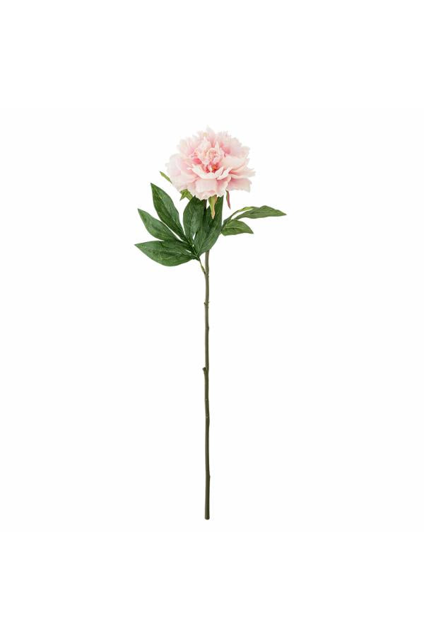 Peon – rosa, 66 cm